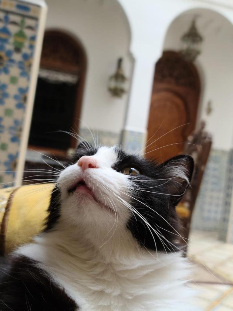 Riad Mouna Marrákes Kültér fotó
