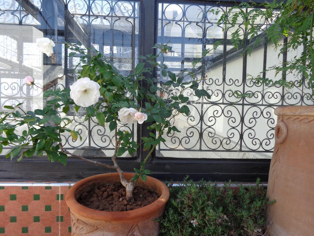 Riad Mouna Marrákes Kültér fotó
